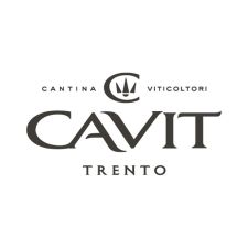 Logo-Cavit-1-1024x1024 CAVIT Gamma Riservata 2025